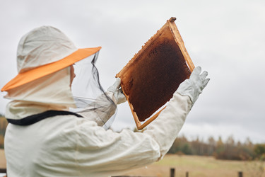 Similar image 21928188