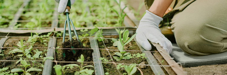 Similar image 21919417