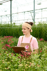 Similar image 21925755