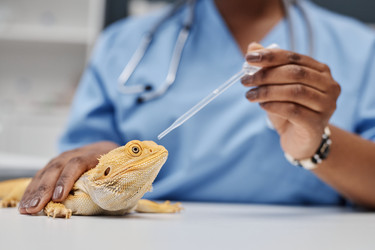 Similar image 21921467