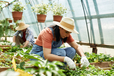 Similar image 21926790