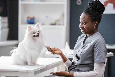 Similar image 21928299