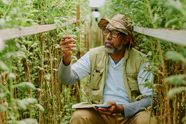 Similar image 21925187