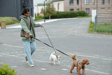 Similar image 21927261