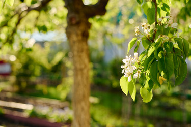 Similar image 21928206