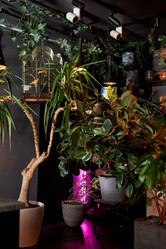 Similar image 21931558