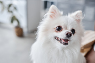 Similar image 21927219