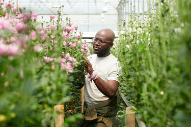 Similar image 21922758