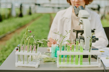 Similar image 21925033