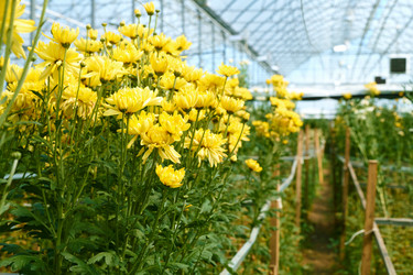 Similar image 21918900