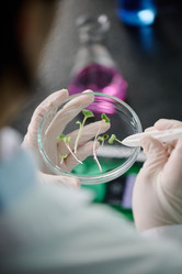 Similar image 21930161