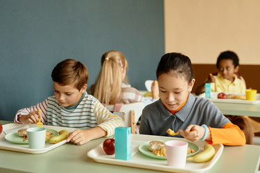 Similar image 21928359