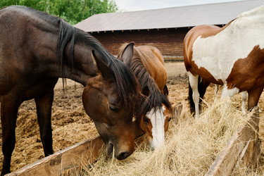 Similar image 21923374