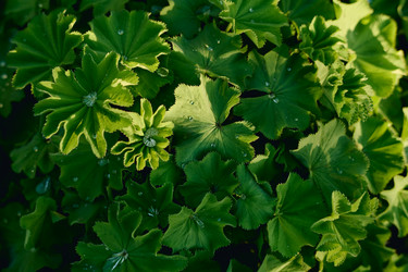 Similar image 21918757