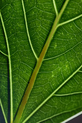 Similar image 21931713