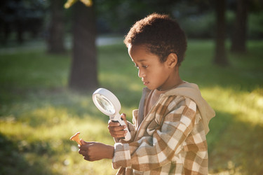 Similar image 21918910