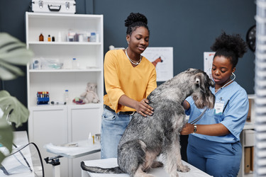 Similar image 21921347