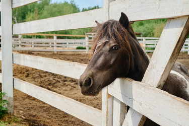 Similar image 21918722