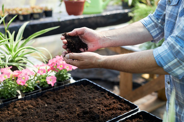 Similar image 21922393