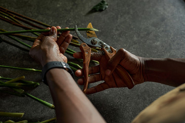 Similar image 21931497