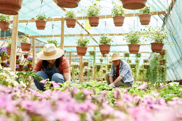 Similar image 21925921