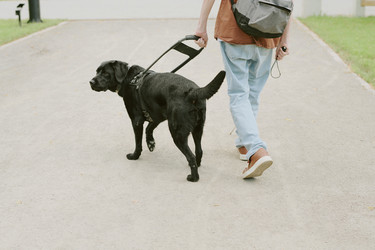 Similar image 21922095