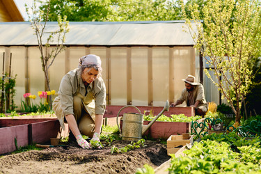 Similar image 21919576