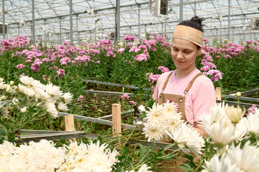 Similar image 21925322