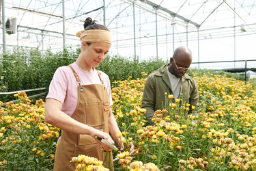 Similar image 21921081