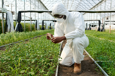 Similar image 21928935