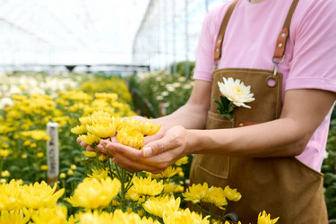 Similar image 21926713