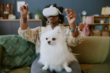 Similar image 21918768