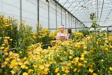 Similar image 21923456