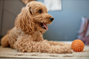 Similar image 21922742