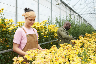 Similar image 21930221