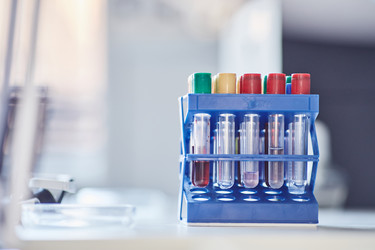 Similar image 21924917