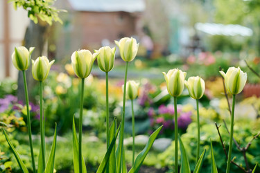 Similar image 21926160