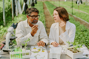 Similar image 21926578