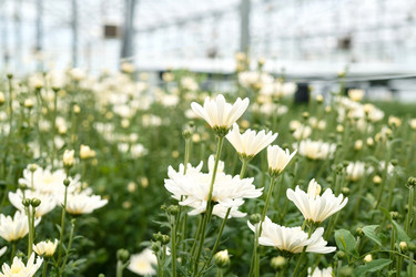 Similar image 21919313