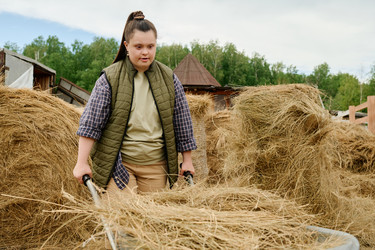 Similar image 21932002