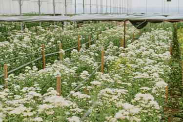 Similar image 21926274