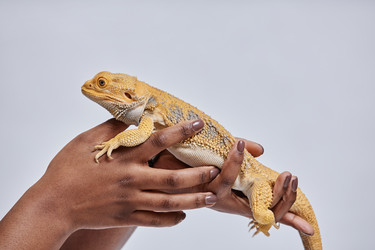 Similar image 21921661