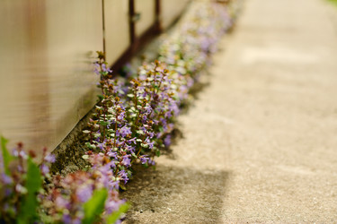 Similar image 21921674