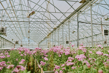 Similar image 21928317