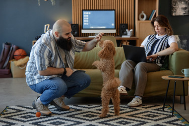 Similar image 21923087