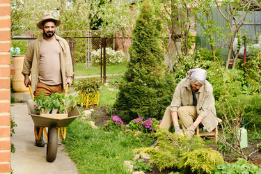 Similar image 21923354