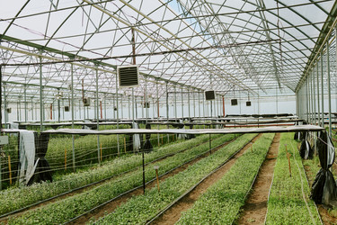 Similar image 21925690