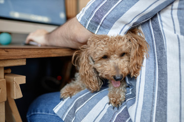 Similar image 21926175