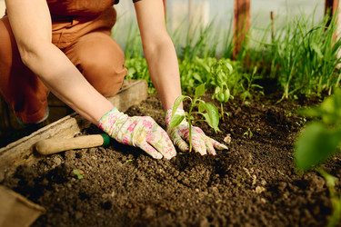 Similar image 21929801