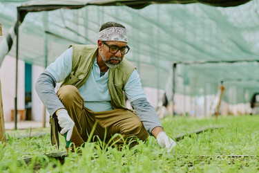 Similar image 21920305